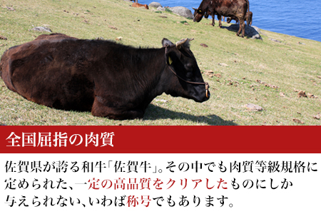 厳選佐賀牛 サーロインステーキ180g リブローススライス300g 2種(合計480g)セット