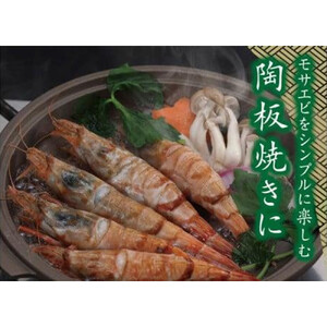 鳥取産 冷凍モサエビ