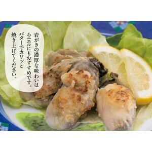 鳥取賀露港 天然岩がきセット【かねまさ・浜下商店】