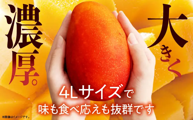 【2026年発送】【数量限定】宮崎県産 太陽のタマゴ A等級 4Lサイズ×2玉（合計約1kg）