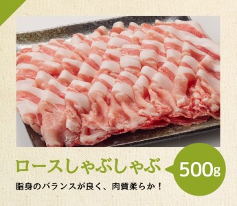 宮崎県産豚肉バラエティ4種2.5kg 豚肉