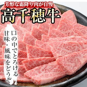 高千穂牛 三角カルビ(500g)【MT012】【JAみやざき 高千穂牛ミートセンター】
