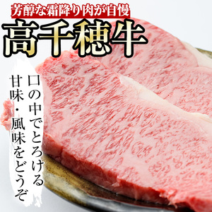 高千穂牛 サーロインステーキ(250g×2枚)【MT013】【JAみやざき 高千穂牛ミートセンター】