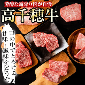 ＜定期便・6回(連続)＞高千穂牛・定期便(6ヶ月)【MT008】【JAみやざき 高千穂牛ミートセンター】