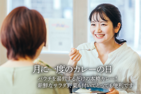【全12回定期便】旬野菜×手作りカレーセット  /ヒロファミリーフーズ[AGBX027] カレー 定期便