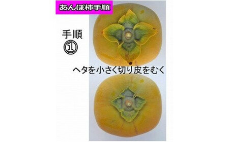 柿 生渋柿（平たねなし柿）あんぽ柿用 T軸枝無  約4.5～5kg 約24～30個 AP【art003B】