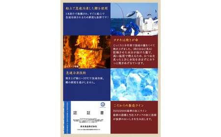 黄金藁焼一本釣り鰹タタキ3kgとじゃばらポンズ100mlのセット【1か月以内に発送】【nks101B】