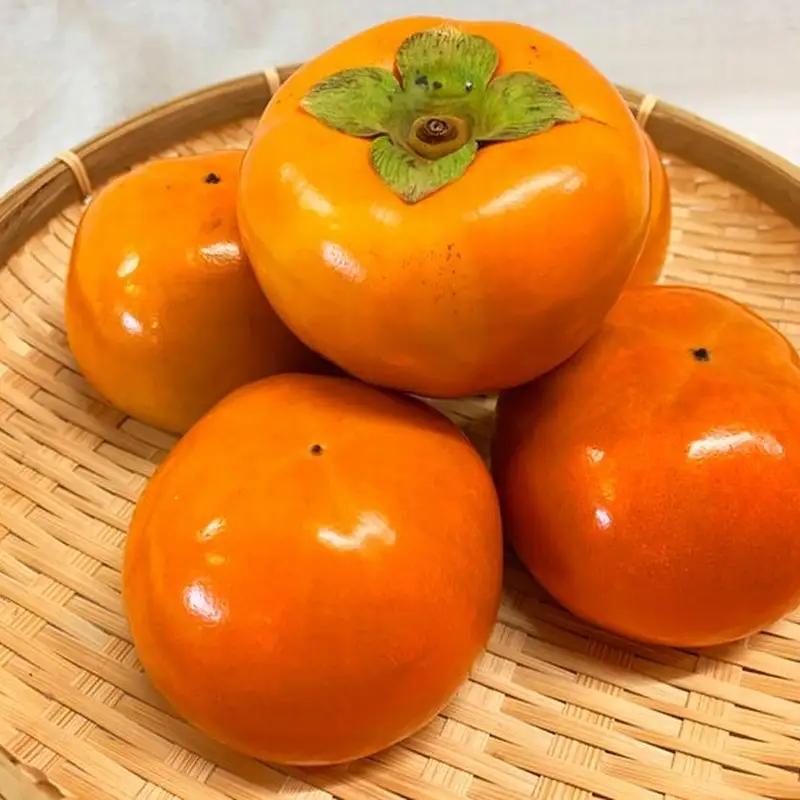 和歌山秋の味覚　富有柿　約7.5kg　【uot702A】