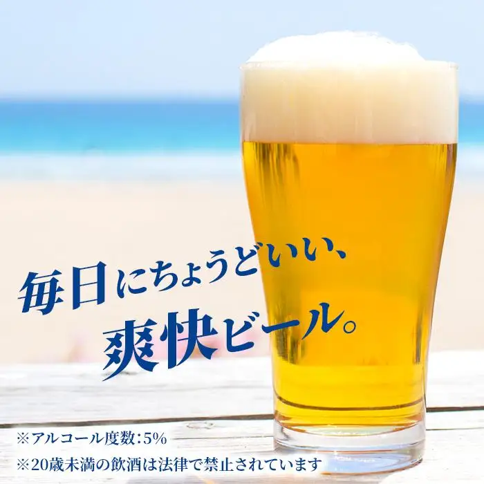 オリオン「サザンスター」 350ml缶×24本入ケース