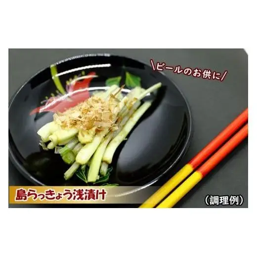 島らっきょう（500g）AZ106