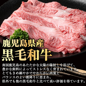 鹿児島 黒毛和牛 黒豚 しゃぶしゃぶ セット (300g×2P・計600g) たれ付き 牛肉 豚肉 国産【ナンチク】A1-v01