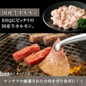 鹿児島県産 黒毛和牛 焼き肉セット (ロース モモ 国産牛ホルモン 各200g 計600g) 【ナンチク】A6-v01