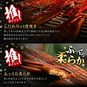 うなぎ 無投薬 鹿児島県産 ＜上＞(合計280g以上)  うなぎ 【西日本養鰻】A60-v01