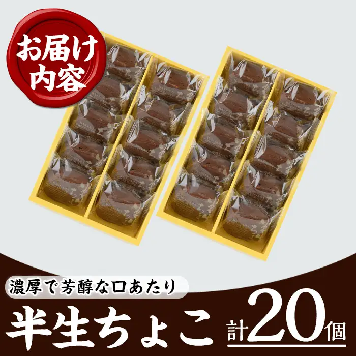 ひとくちチョコケーキの決定版！ 半生チョコケーキ20個（10個×2箱）【00-014-01】