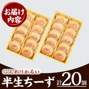 ひとくちチーズケーキの決定版！ 半生チーズケーキ20個（10個×2箱）【00-014-02】