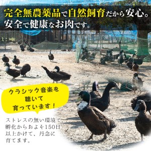 薩摩 黒鴨 鍋 セット B 計600g(150g×4)！ 鴨肉【日本有機】B23-v01