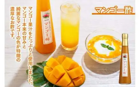 ＜江﨑酢醸造元＞果実酢3本セット(マンゴー、ブルーベリー、ザクロ)　042-021