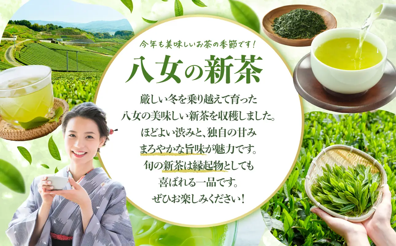 【新茶】奥八女新茶 初摘み【2026年5月発送開始】 お茶 八女茶 緑茶 茶葉 国産 福岡県 八女市 050-009