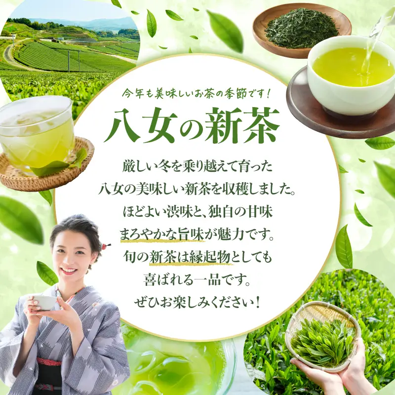 【新茶】奥八女新茶 詰合わせ(5本)【2026年5月発送開始】 お茶 八女茶 緑茶 茶葉 濃厚 国産 福岡県 八女市 050-013