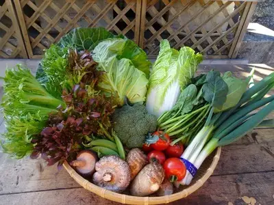 ＜道の駅たちばなオリジナル＞季節の野菜・果物セット 種類 お任せ 旬 野菜 果物 詰め合わせ 054-004