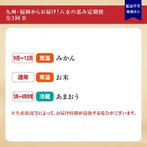 九州・福岡からお届け！八女の恵み定期便【全３回】 B｜＜配送不可：北海道・沖縄・離島＞　072-T035