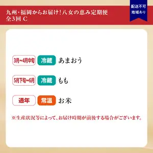 九州・福岡からお届け！八女の恵み定期便【全３回】 C｜＜配送不可：北海道・沖縄・離島＞　072-T036