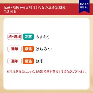 九州・福岡からお届け！八女の恵み定期便【全３回】 E｜＜配送不可：北海道・沖縄・離島＞　072-T038