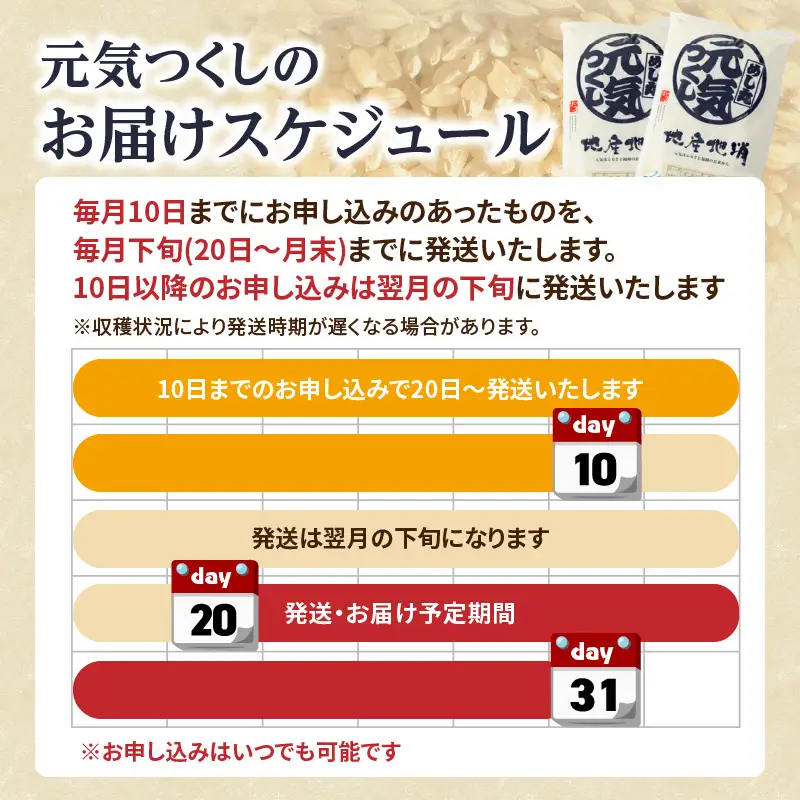 九州・福岡からお届け！ブランド米「元気つくし」定期便【全３回】 お米 米 コメ 白米 特A 直送 お弁当 おにぎり 炊きたて ツヤ 粘り もちもち 弾力 卵かけご飯 福岡県 八女市 072-T069