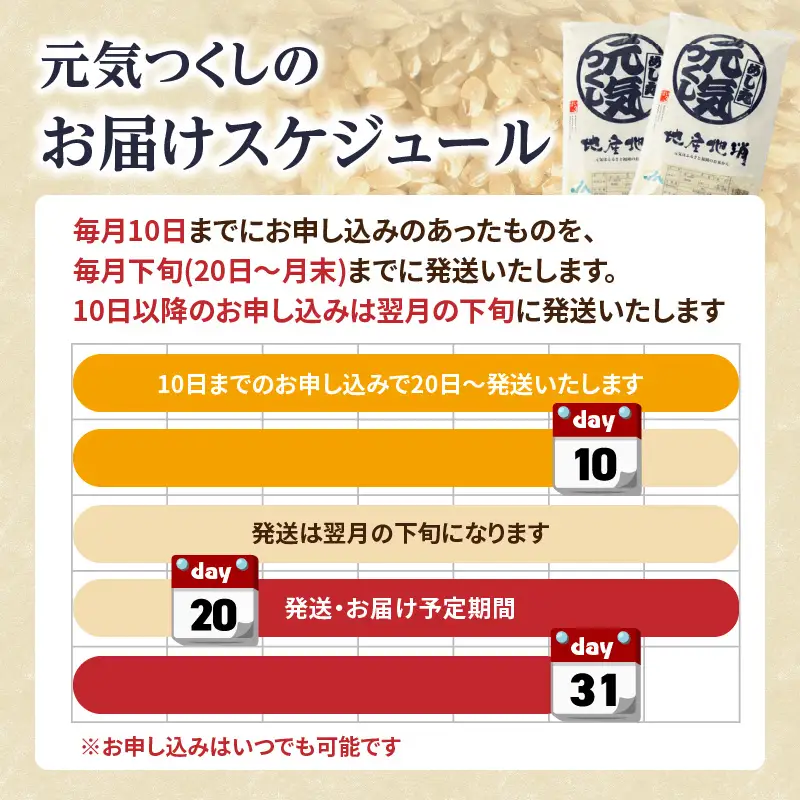九州・福岡からお届け！ブランド米「元気つくし」定期便【全10回】 お米 米 コメ 白米 特A 直送 お弁当 おにぎり 炊きたて ツヤ 粘り もちもち 弾力 卵かけご飯 福岡県 八女市 072-T071