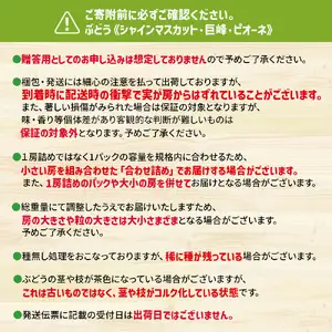 九州・福岡フルーツ王国八女　お試し旬のフルーツ定期便【全２回】 B｜＜配送不可：北海道・沖縄・離島＞　072-T016