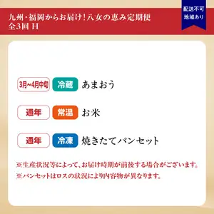 九州・福岡からお届け！八女の恵み定期便【全3回】H　＜配送不可：北海道・沖縄・離島＞　072-T040