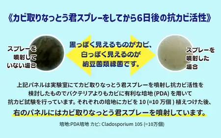 カビ取りなっとう君スプレー３本セット　072-009