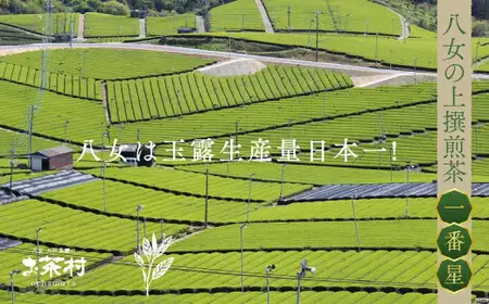 《福岡八女茶》甘味と渋味を兼ね備えた、お茶村 上撰煎茶《一番星》　077-001
