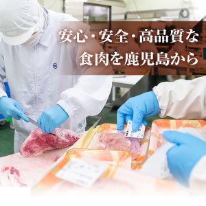＜定期便・全5回＞鹿児島県産 黒毛和牛 黒豚 しゃぶしゃぶ セット(各300g×2×5回・計3kg)【ナンチク】T1-v01