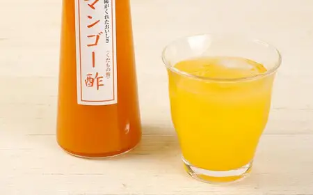 果物酢（マンゴー・ブルーベリー）セット【牛乳やソーダ割・ヨーグルトにかけて】　001-035