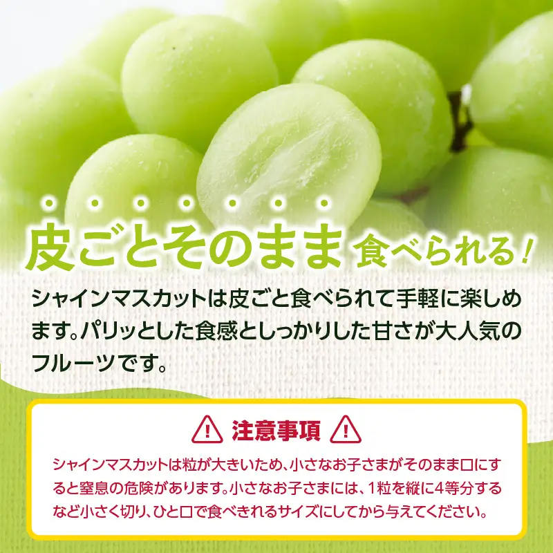 シャインマスカット 1.4kg(350g×4P)【JA八女】｜ 002-019