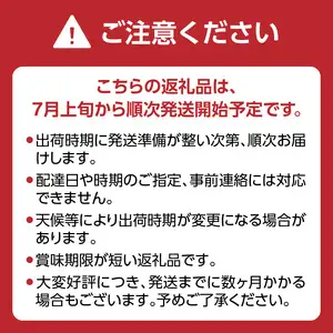 【先行受付】種なし 巨峰 1.4kg（350g×4パック）｜2026年7月上旬～発送予定 産地直送 種なし巨峰 甘い巨峰 ジューシーな巨峰 大粒な巨峰 002-006