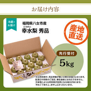 【先行受付】幸水梨（5kg）【ＪＡふくおか八女】｜2026年7月下旬～発送予定 梨 幸水梨 2026年予約 先行受付 光センサー 002-010