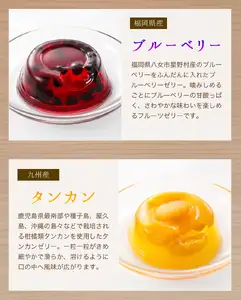 日本の果実フルーツゼリー セット12個 甘夏 トマト タンカン メロン ブルーベリー 新高梨 ギフト 洋菓子 福岡県 八女市 007-001