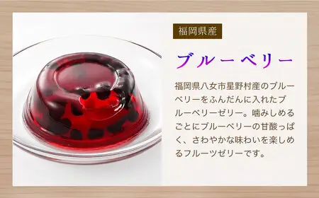 ブルーベリーゼリー12個セット 007-010