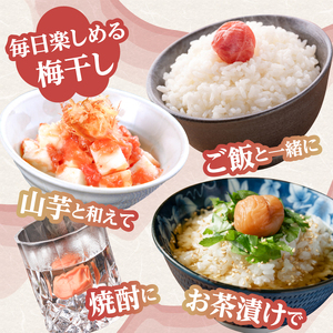 梅農家手造りの梅干食べ比べセット 小梅 うめぼし 無添加 紫蘇 ご飯のお供 福岡県 八女市 011-001