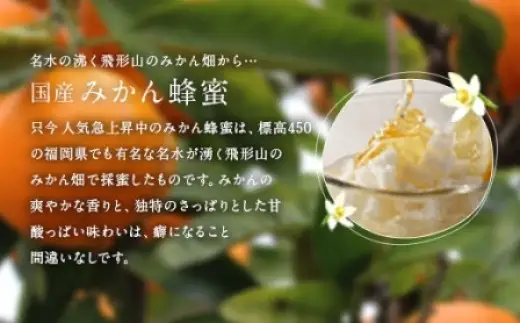 ＜国産＞かの蜂 蜂蜜3本セット【250g×3本】れんげ・みかん・そよご蜂蜜 蜂蜜 はちみつ ハチミツ 国産 みかん れんげ そよご 誕生日 贈り物 プレゼント ギフト 常温 保存 備蓄 防災食 非常食 保存食 防災グッズ 024-017