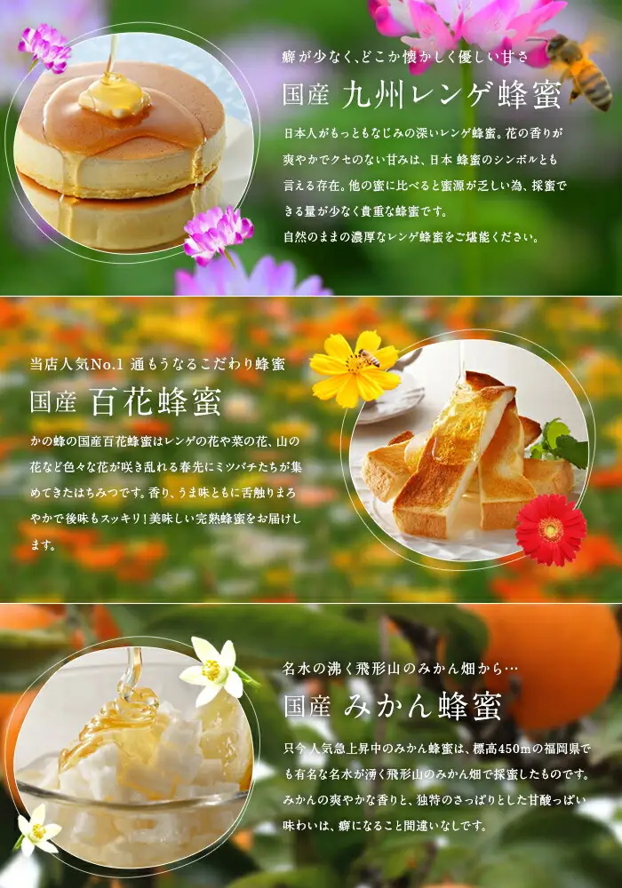 かの蜂 国産 蜂蜜 お試しセット 90g×5 養蜂一筋60年自慢の一品（瓶）　024-042