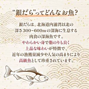 笹谷商店 本造り 銀だら味噌漬9切【3切×3パック】 ふるさと納税 魚 F4F-8309