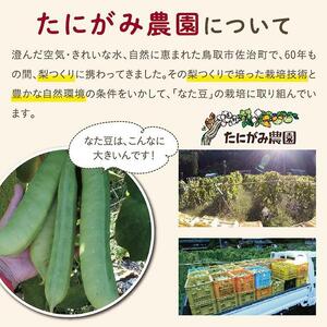 たにがみ農園のなた豆茶 3袋セット