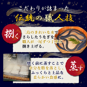 静岡 名産 うなぎ 蒲焼 2人前 240g～ 冷蔵 三島名物 老舗 うなぎ屋 真空パック 御殿川 土用丑の日 晩ごはん 家族 惣菜 養殖 タレ付き 秘伝のタレ ギフト プレゼント 贈り物 うな重 うな丼 鰻料理 蒲焼き うなぎ蒲焼 鰻蒲焼 うなぎ料理 ウナギ 鰻 うな丼セット 蒲焼セット 三島市 静岡県