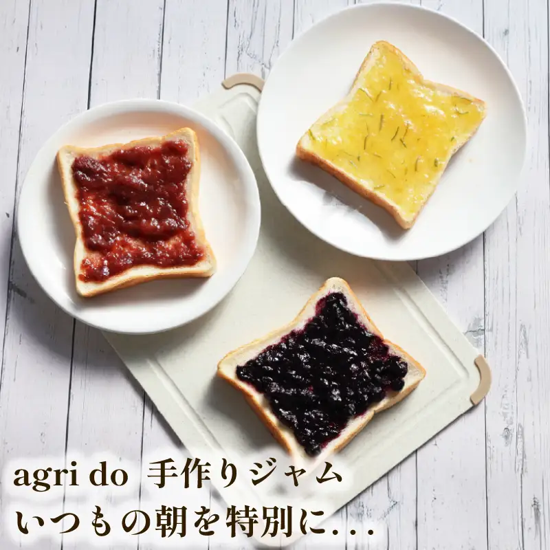 ブルーベリージャム3瓶セット 化粧箱入 ブルーベリージャム 