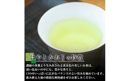 A-019 霧島茶 はやとかおり 雅 詰合せ(100g×3本)【マル竹園製茶】霧島市 緑茶 茶葉 お茶 日本茶