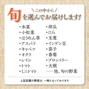 福岡県久留米市産 新鮮野菜セット_福岡県 久留米市産 新鮮野菜 セット 10品目 約10kg 旬の野菜 詰め合わせ 新鮮 季節 野菜 水菜 小松菜 ほうれん草 アスパラ キャベツ オクラ レイシ トマト 胡瓜 ニラ 玉葱 インゲン 茄子 春菊 ブロッコリー 大根 旬 料理 久留米市 冷蔵 お取り寄せ 送料無料 〔Gv025〕