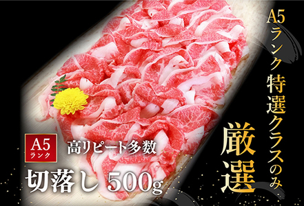 近江牛 A5 ランク 切落し 500g 訳あり げんさん 【DG12W】近江牛 切り落とし 牛肉